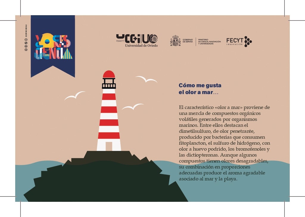 Imagen de Galeria