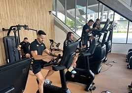 Las nuevas máquinas, en servicio en el Palacio de los Deportes.