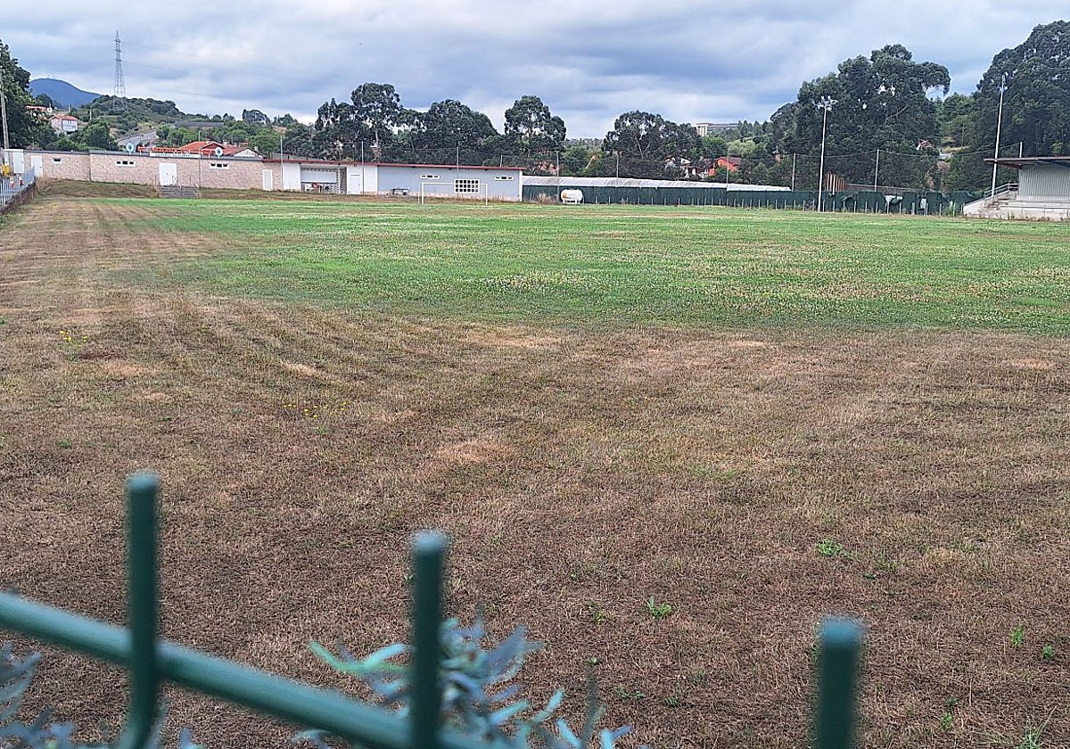 Estado actual del campo de hierba natural de El Palacio de Trasona.