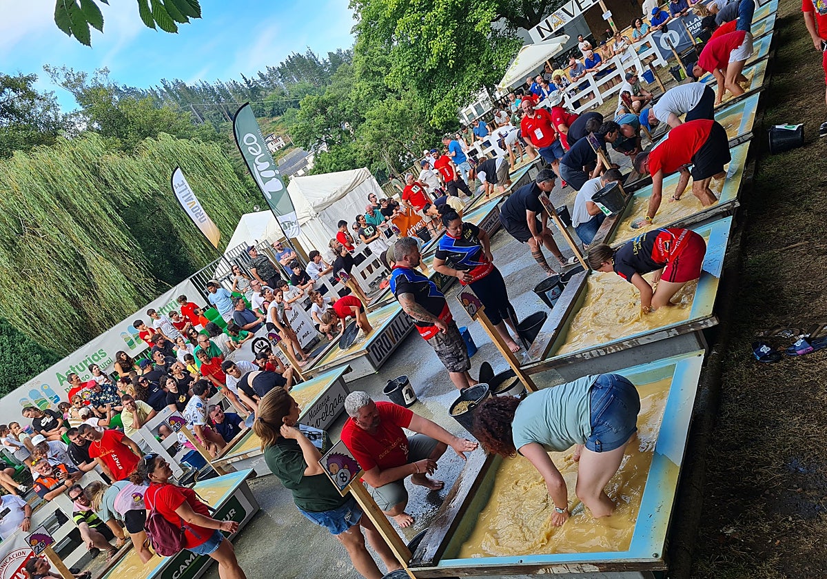 El evento incluye categorías para todas las edades y niveles.