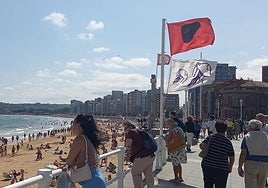 Bandera roja por presencia de carabelas portuguesas en la playa de San Lorenzo de Gijón.