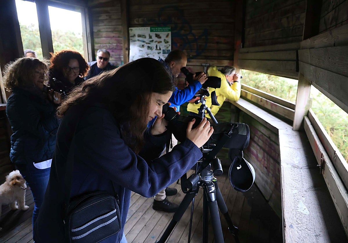 Las webcam se instalarán en el propio observatorio de aves de Zeluán.