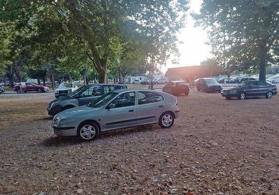 Algunos conductores optaron por aparcar sus vehículos el domingo en las zonas verdes del parque de los Hermanos Castro y algunos fueron sancionados.