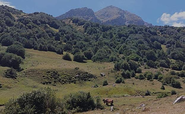 Los Cuadros, otra braña bellísima rodeada de belleza.