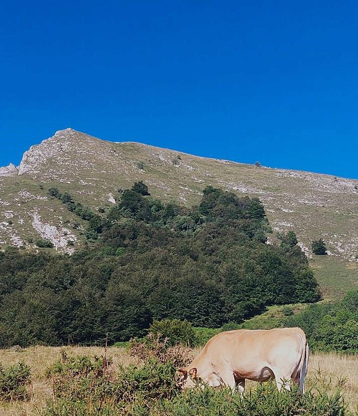 Imagen secundaria 2 - Cabaña en Manín/ Tapinón desde la Vega/ caminando hacia la falda de Peña Rueda. 