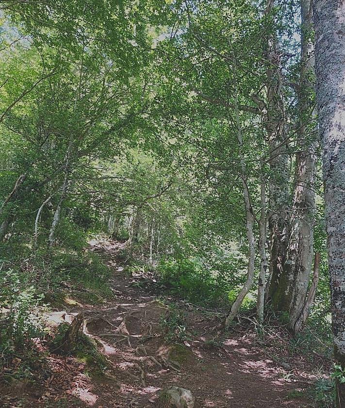 Imagen secundaria 2 - El cambio radical entre paisajes y la fuerza de las montañas que se atisban desde su cima hacen de Peña Rueda una ruta excepcional. 