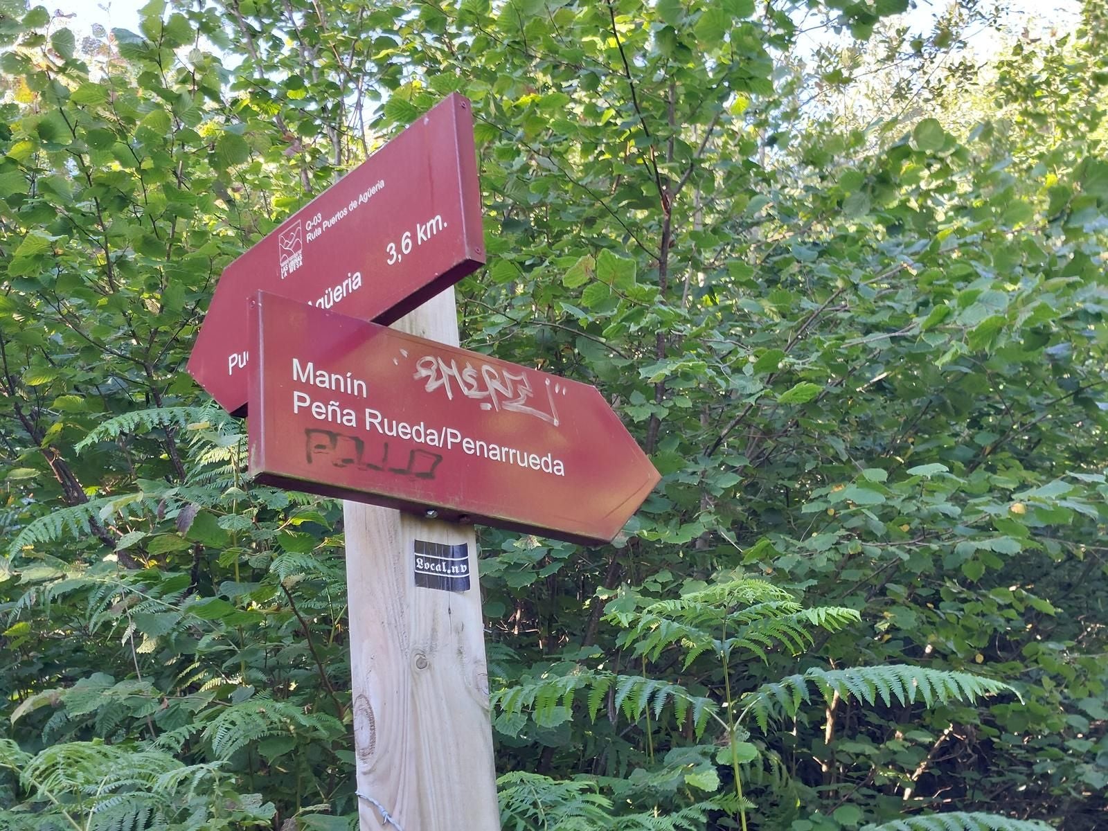 Imagen secundaria 2 - Lindes/ Entrando al bosque de Lindes/ señales indicativas a peña Rueda. 