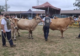 Participantes en la calificación de raza asturiana de los valles en el Concurso-Exposición de Ganado de Llanera.