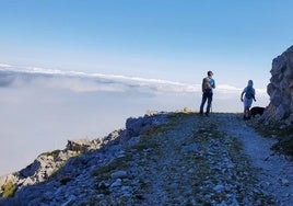 Desde el Jitu Escarandi, esta ruta sube al Casetón de Ándara para bajar buscando la sombra del bosque: un paseo de contrastes, bellísimo y bien señalizado, por el macizo oriental de los Picos de Europa.
