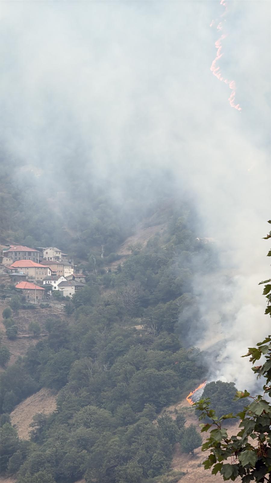 El fuego amenaza a casas y viñedos en Cangas del Narcea