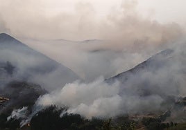 El fuego amenaza a casas y viñedos en Cangas del Narcea