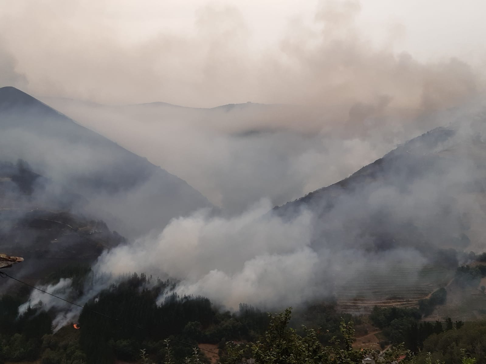 El fuego amenaza a casas y viñedos en Cangas del Narcea