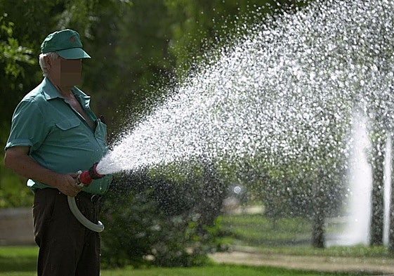Un hombre riega una zona verde.