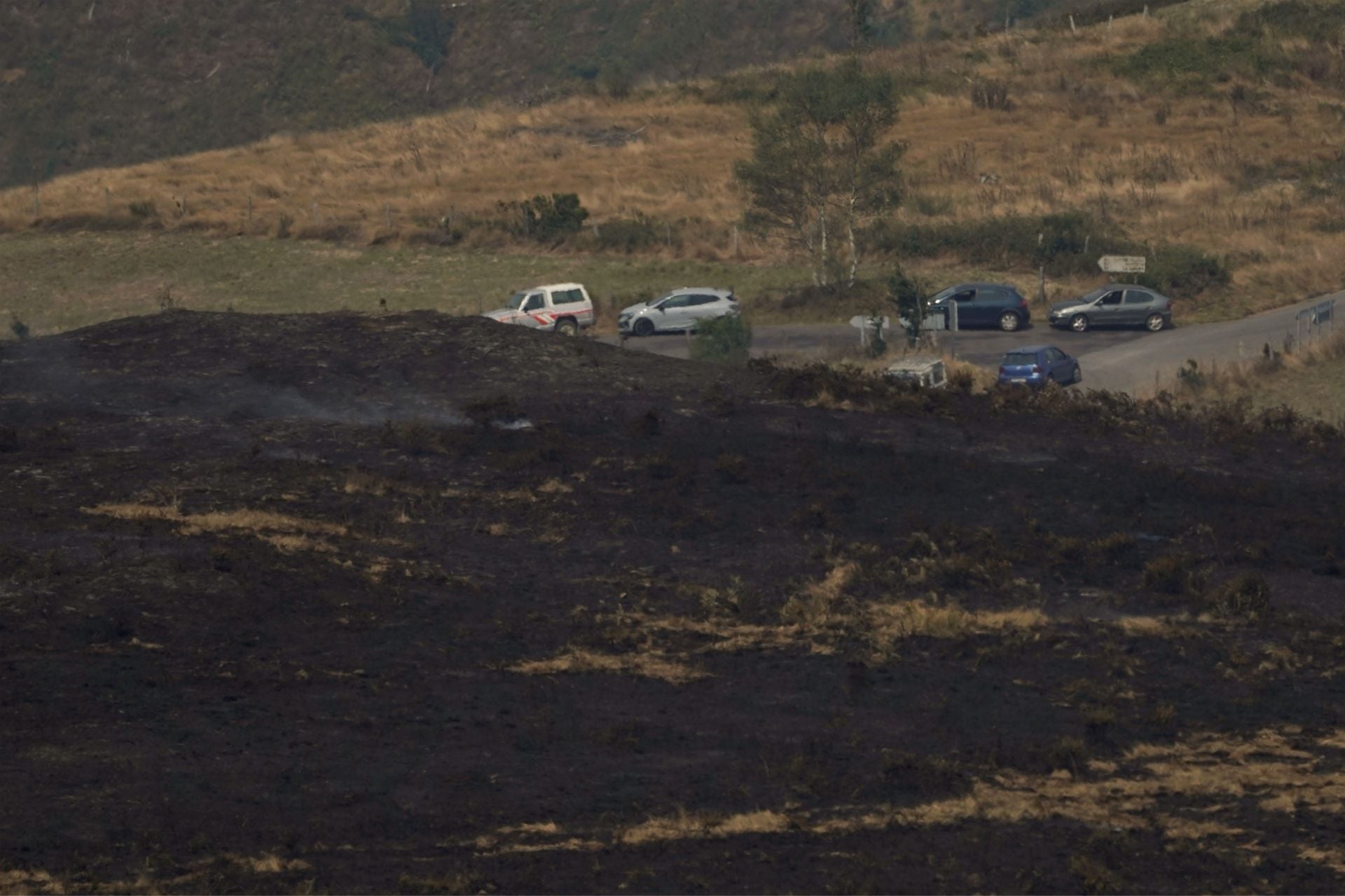 Las consecuencias de los incendios forestales en Cangas del Narcea