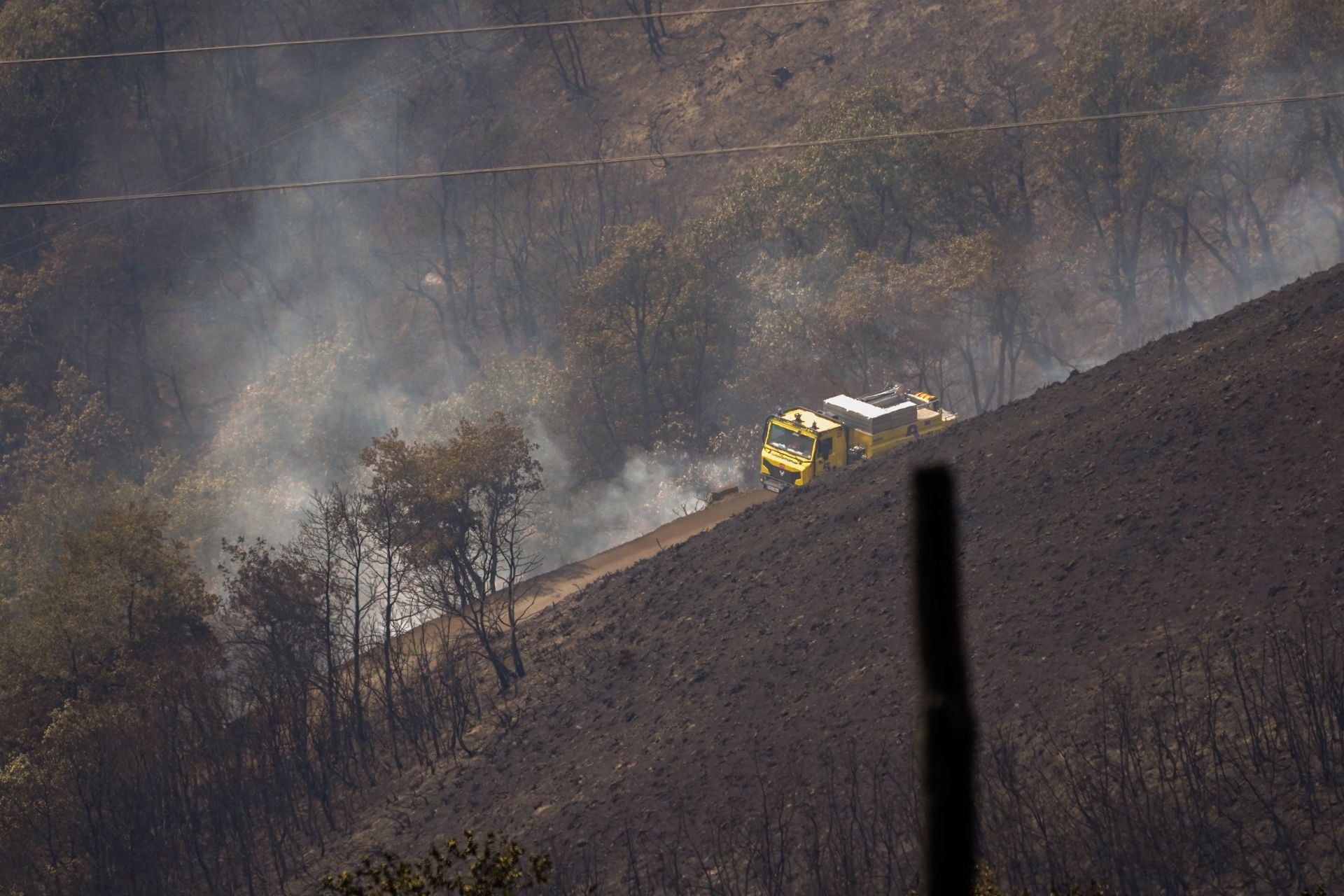 Las consecuencias de los incendios forestales en Cangas del Narcea