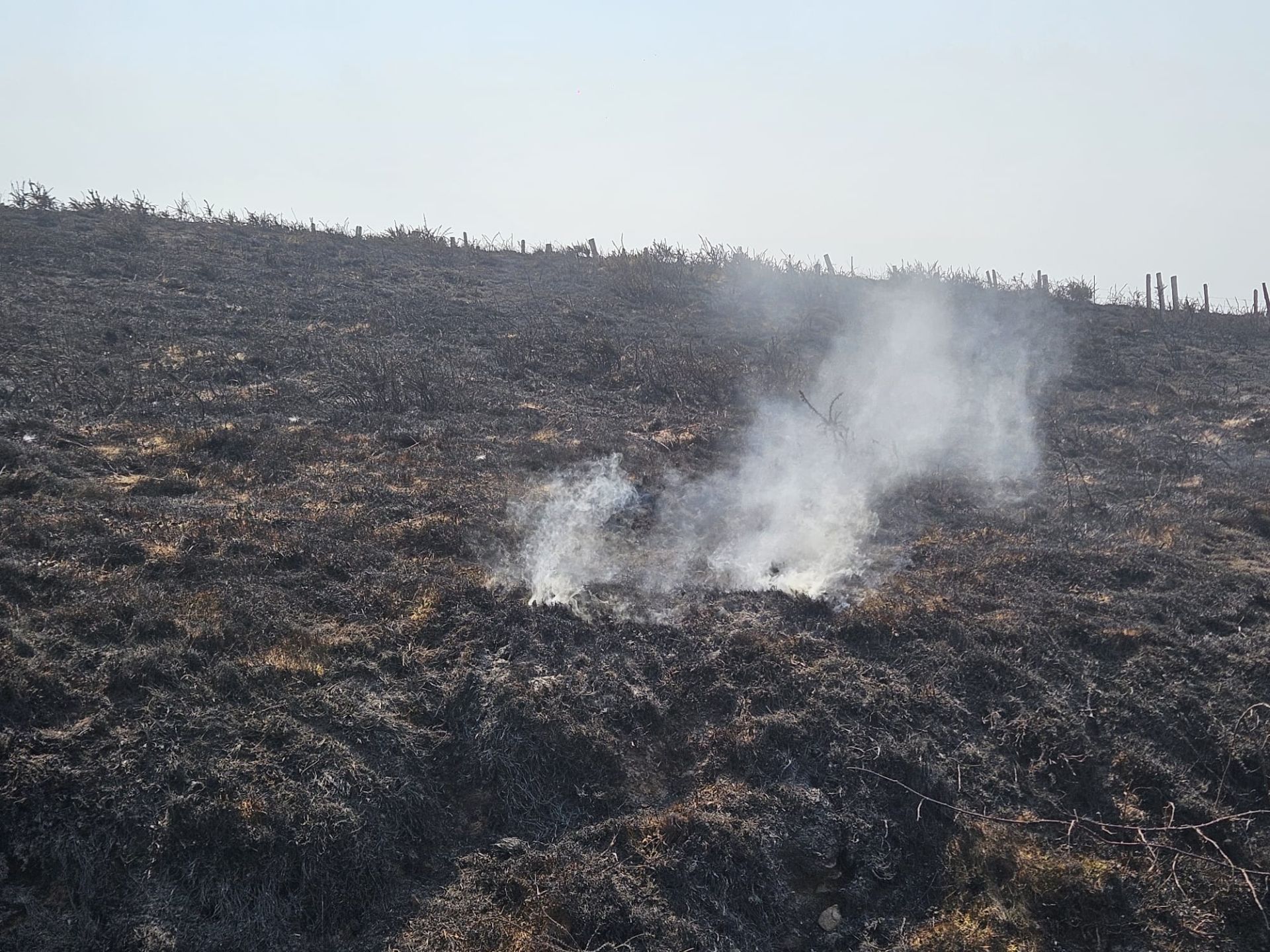 Las consecuencias de los incendios forestales en Cangas del Narcea