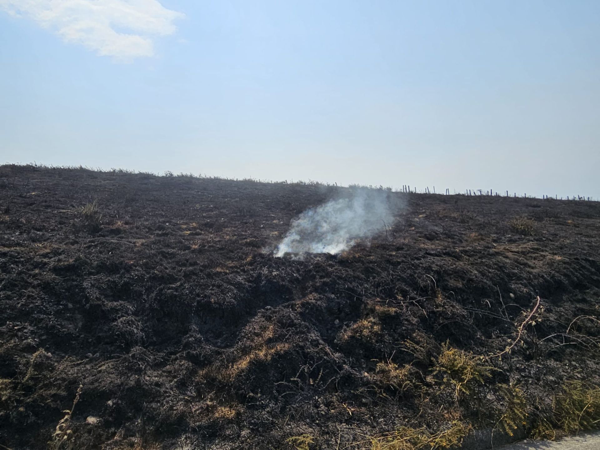 Las consecuencias de los incendios forestales en Cangas del Narcea