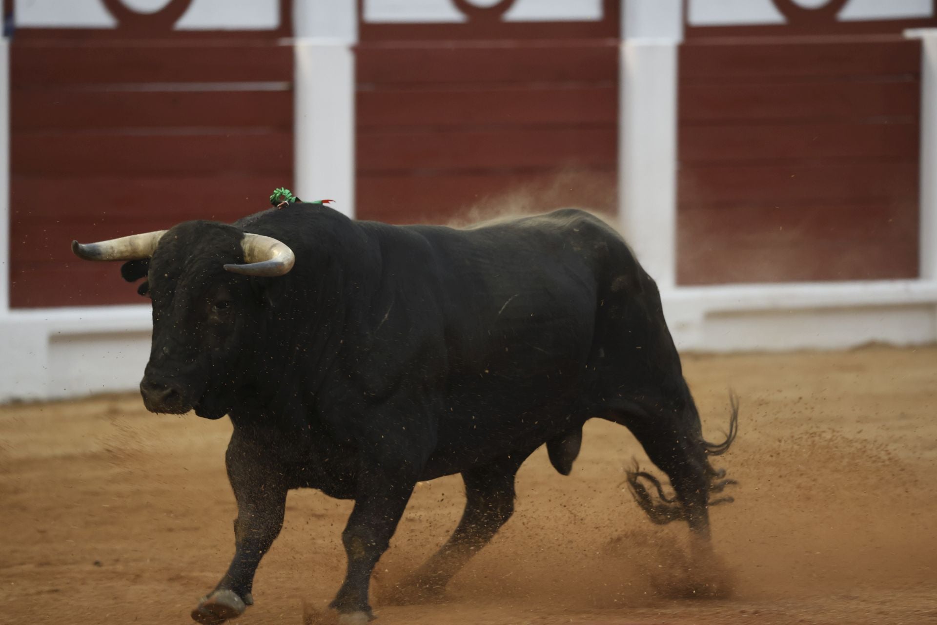 La primera corrida de la Feria de Begoña en imágenes