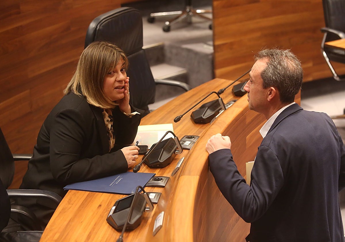 Gimena Llamedo y Ovidio Zapico, en la Junta General, en una imagen de archivo.