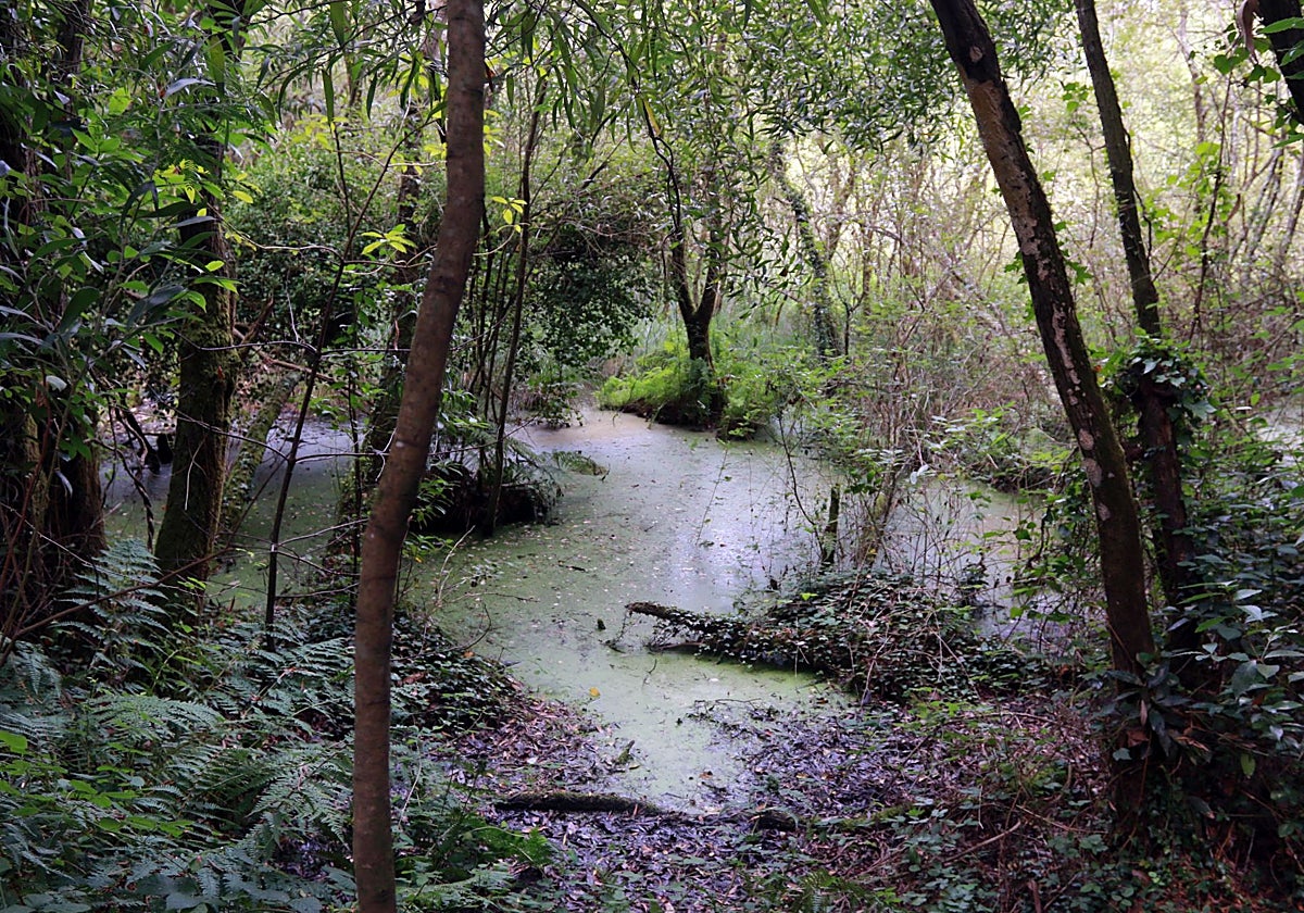 Lagunas de Silva, en Salave, en cuyo subsuelo se encuentra el yacimiento de oro que EMC quiere explotar.