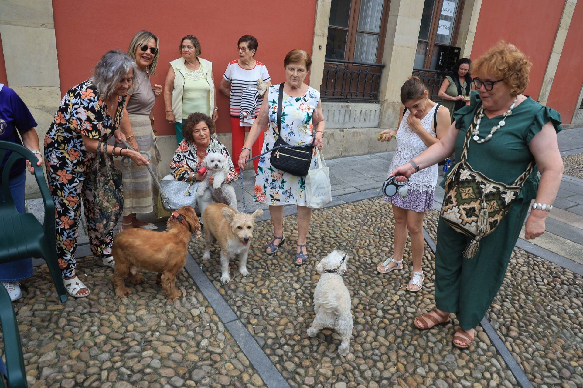 Los perros de Avilés vuelven a Galiana por San Roque