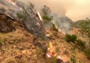 El fuego obliga a cortar carreteras secundarias en Asturias