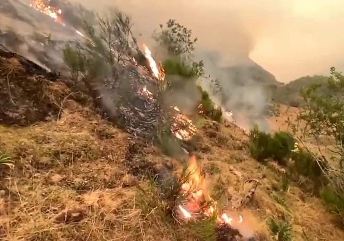 Incendio de Genestoso, en Cangas del Narcea.