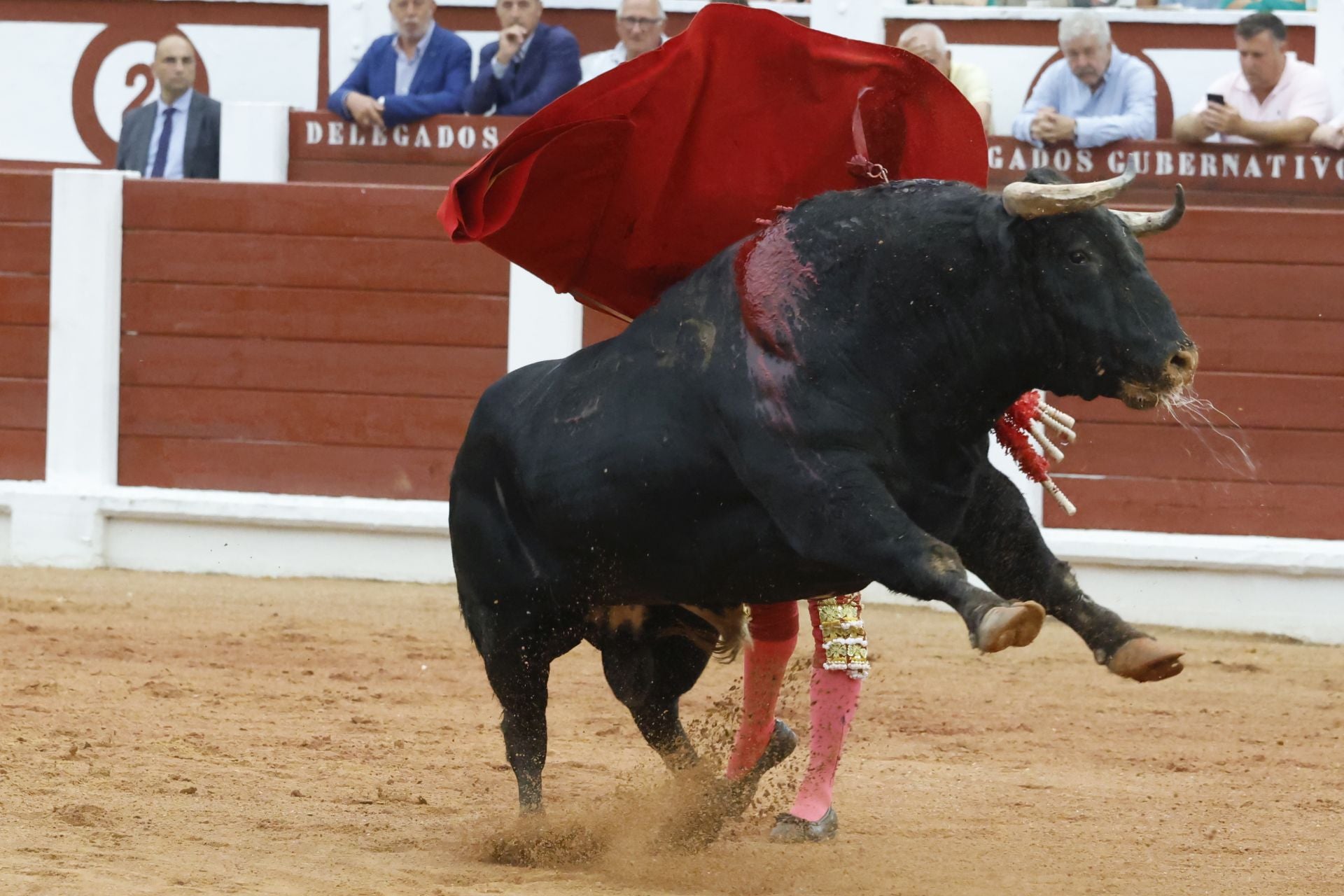 Último día de Feria taurina en Gijón: Manzanares y Talavante triunfan en El Bibio
