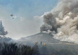 Imagen compartida por la Brif de Tineo.