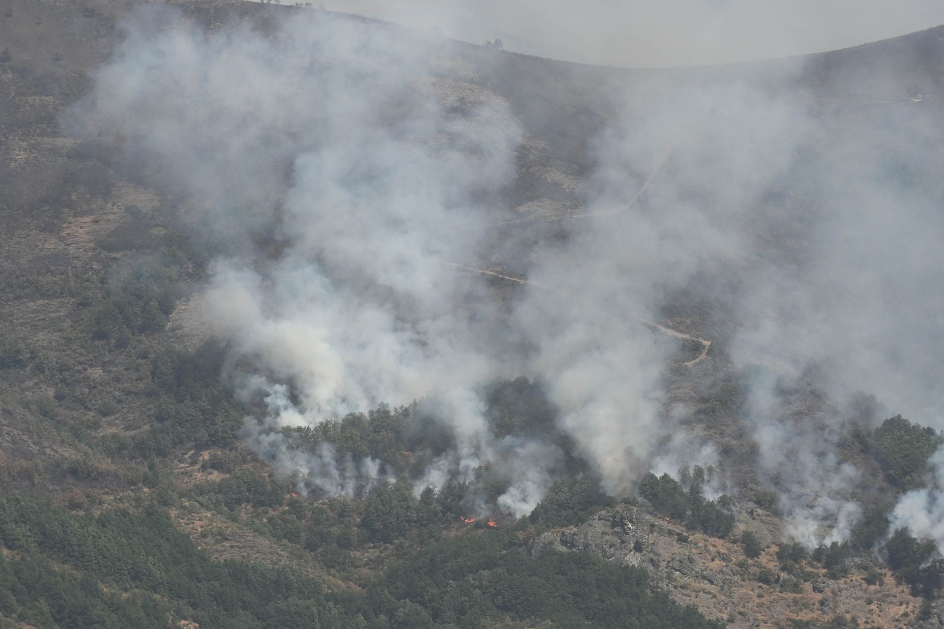 Incendio en la vertiente leonesa de los Picos de Europa