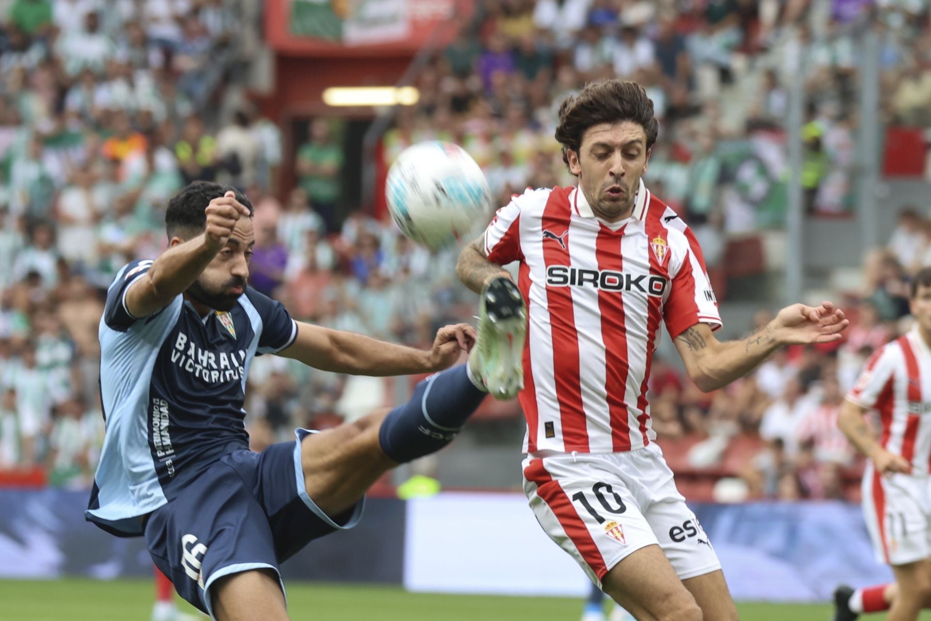 Fotos: Las mejores imágenes del Sporting - Córdoba