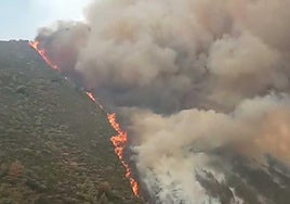Las imágenes que dejan los incendios forestales en Asturias