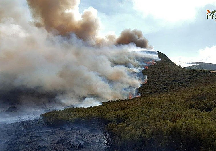 Incendio forestal de Degaña.