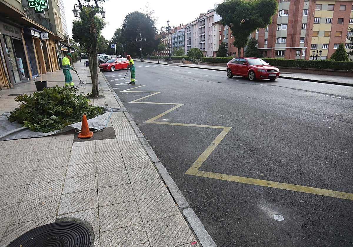 Varios operarios de Parques y Jardines podan los árboles de Arzobispo Guisasola con las marcas para las instalaciones de cámaras en el suelo.