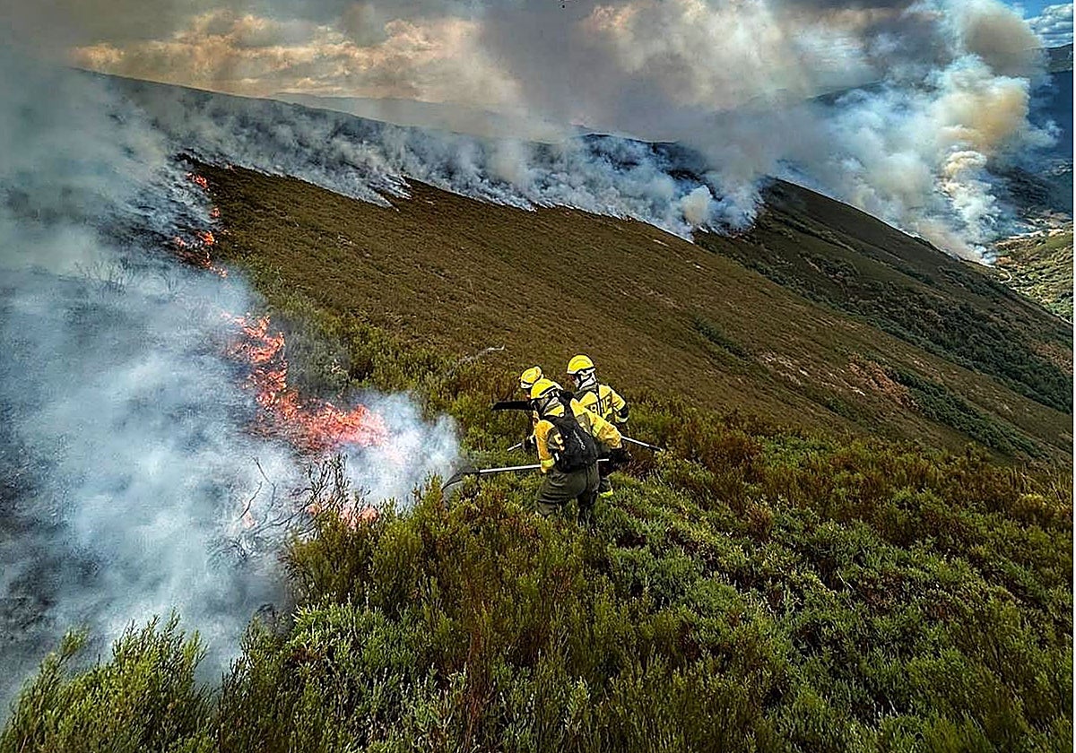 Brigadas de Tineo trabajan en el incendio forestal de Degaña.