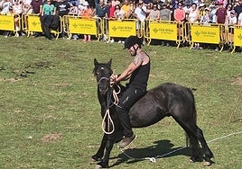 'Cericu' no es 'Indomable'