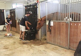 Rodrigo Almeida prepara parte de su espacio de cuadra junto a su equipo.