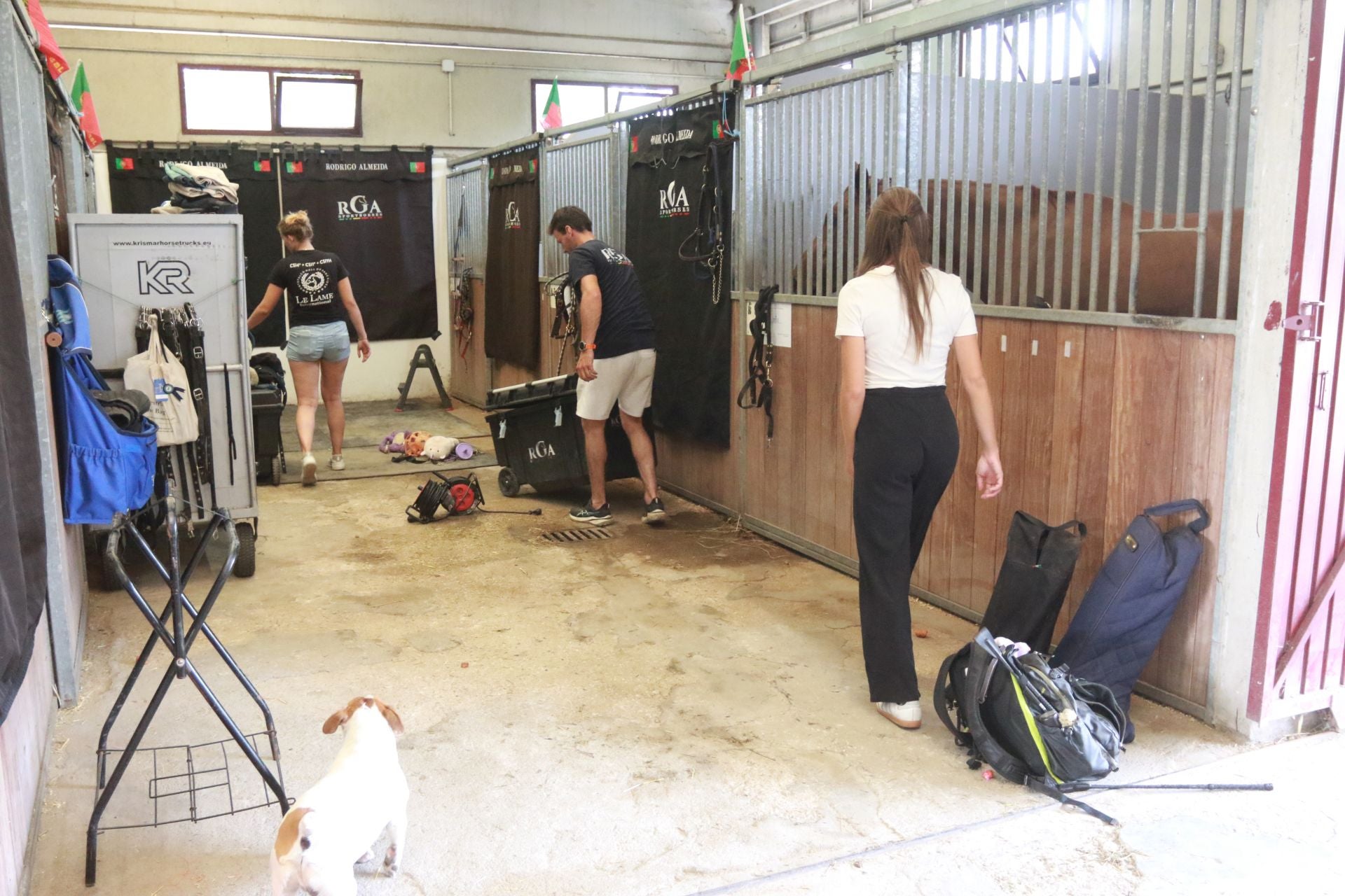 Las Mestas se pone a punto para que arranque su Concurso de Saltos Internacional