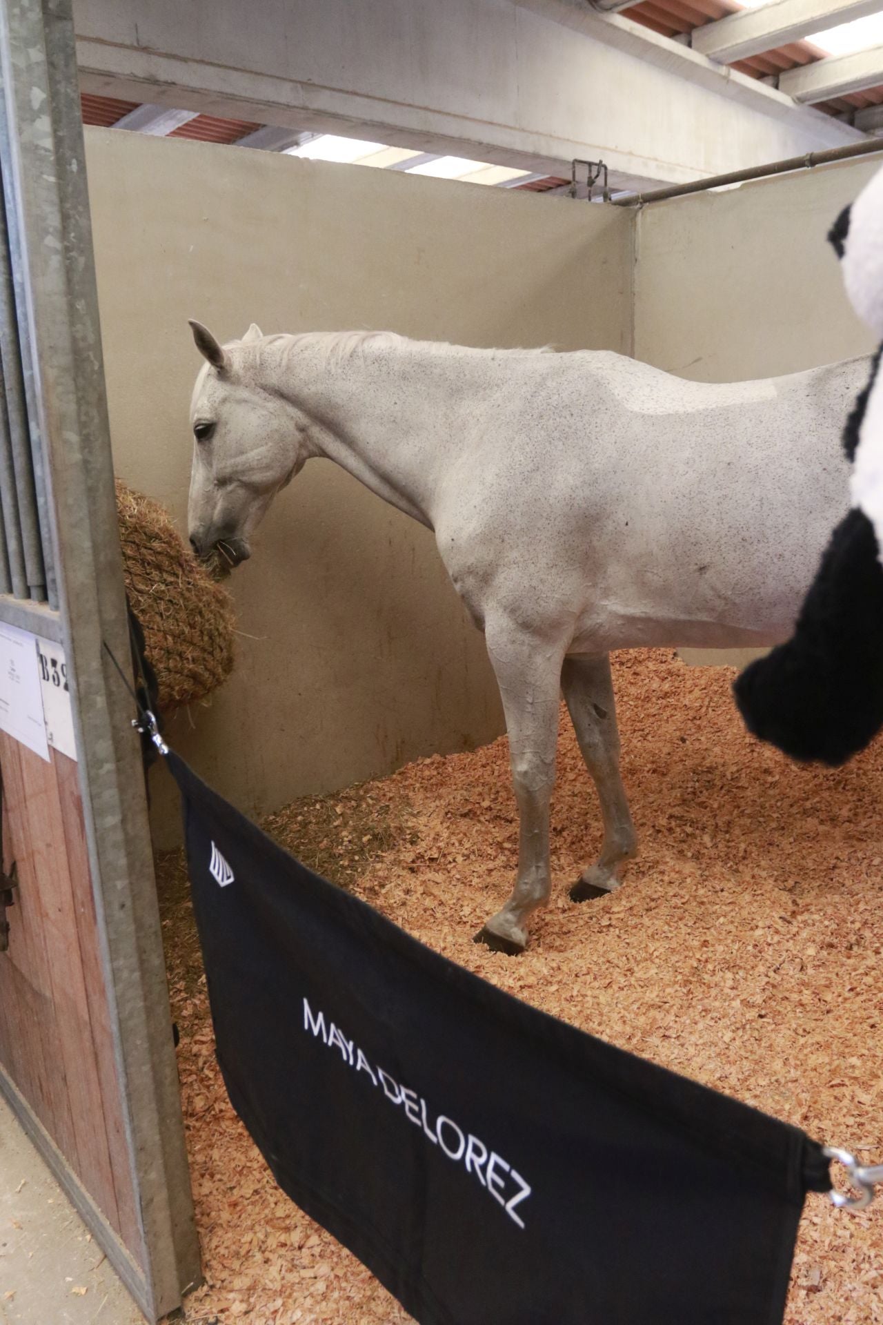Las Mestas se pone a punto para que arranque su Concurso de Saltos Internacional