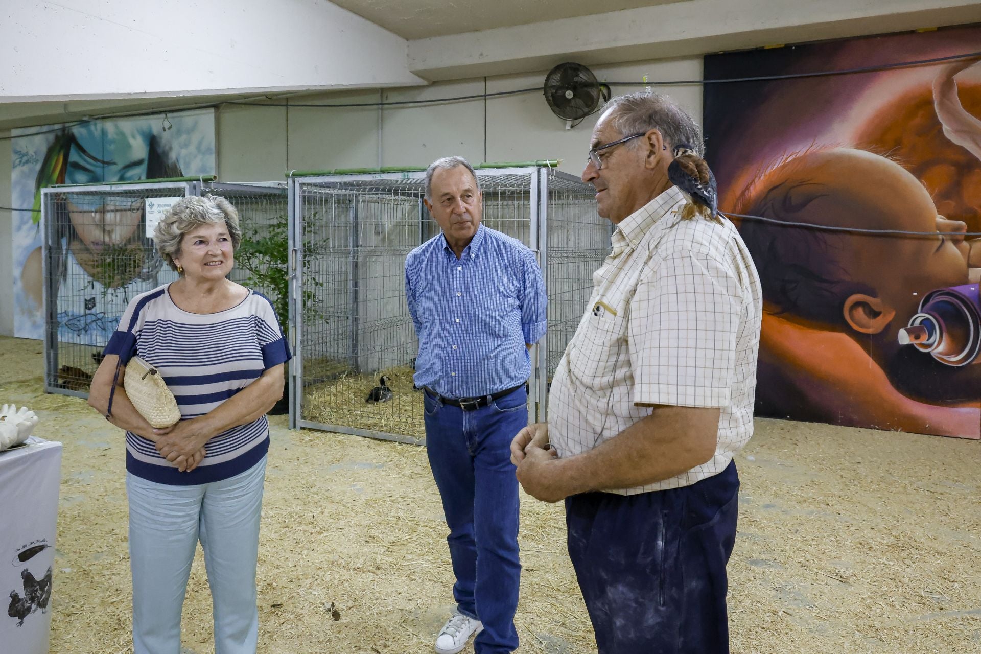 Avilés presume de tradición en el Certamen del Ganado: vacas, asturcones, oveyas xaldas...