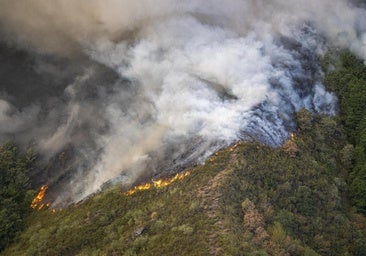 ¿Qué significa que el Consejo de Ministros haya incluido a Asturias en su declaración de zonas catastróficas?