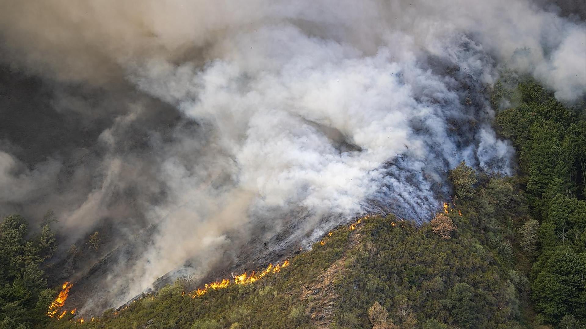 ¿Qué significa que el Consejo de Ministros haya incluido a Asturias en su declaración de zonas catastróficas por incendios?