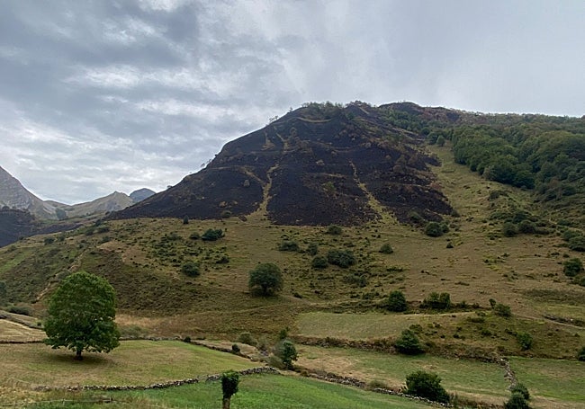 Huellas de los contrafuegos que en días anteriores acometió la Brigada de Incendios Forestales para evitar que el incendio llegase desde el monte a los pastos de La Pornacal.