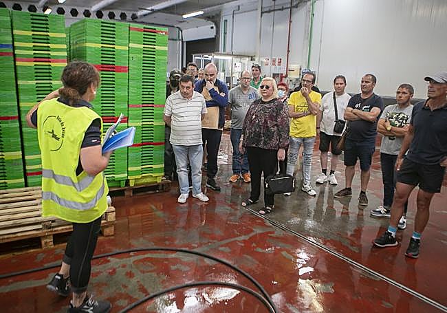 Visita guiada a la rula de Avilés.