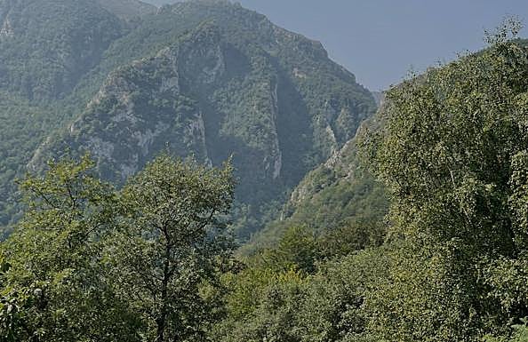 Todo el sendero de esta circular trascurre por bosques profundos y valles muy verdes.