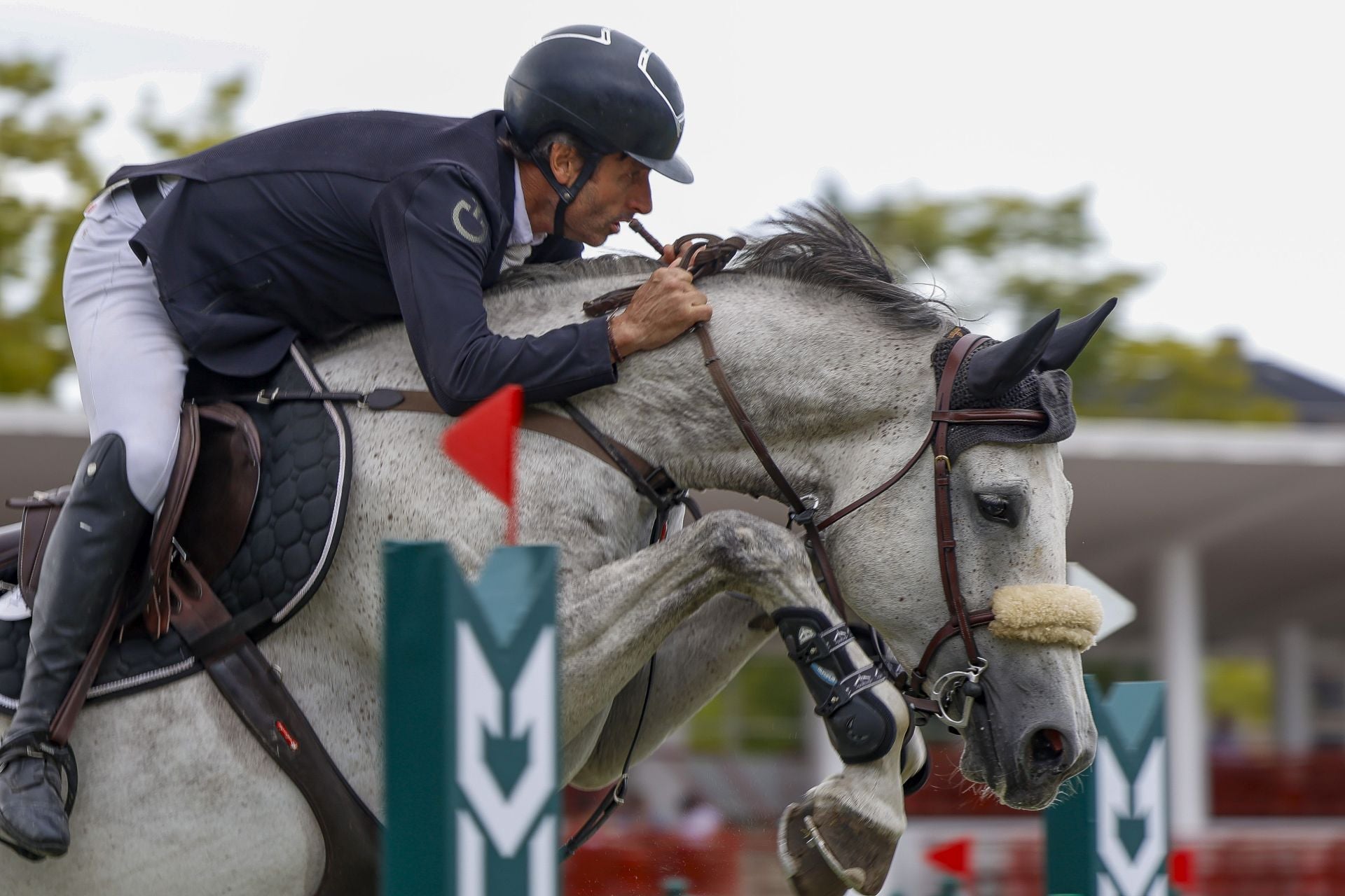 El Hípico de Gijón, lleno este sábado