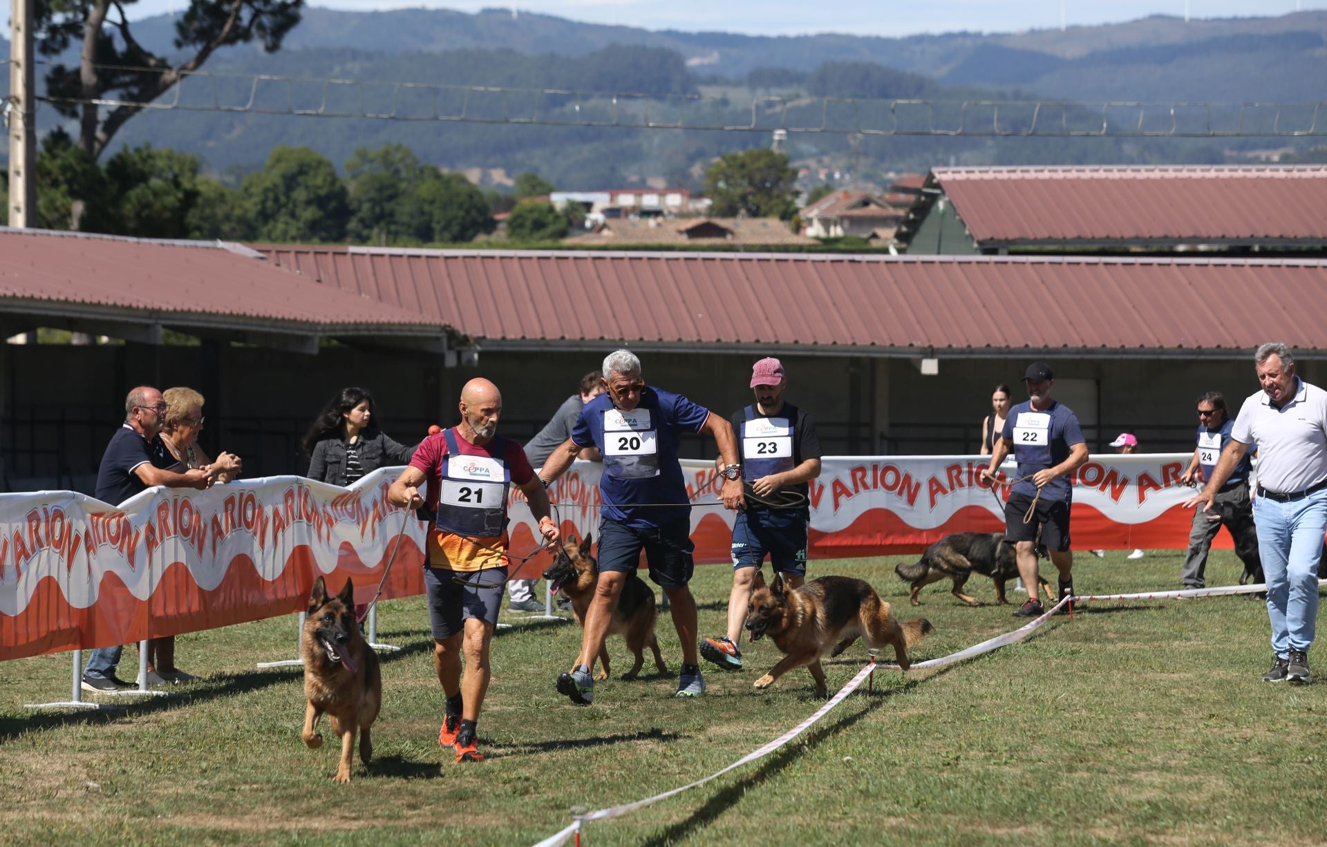 Los perros pastor alemán brillan en Llanera