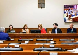 El curso parlamentario arranca en Asturias con las comparecencias de la comisión del accidente en la mina de Cerredo