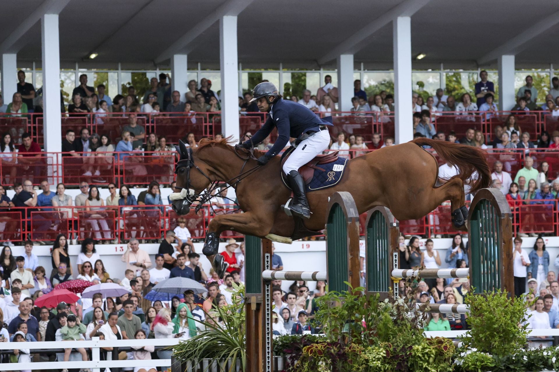 Llenazo en el hípico este domingo
