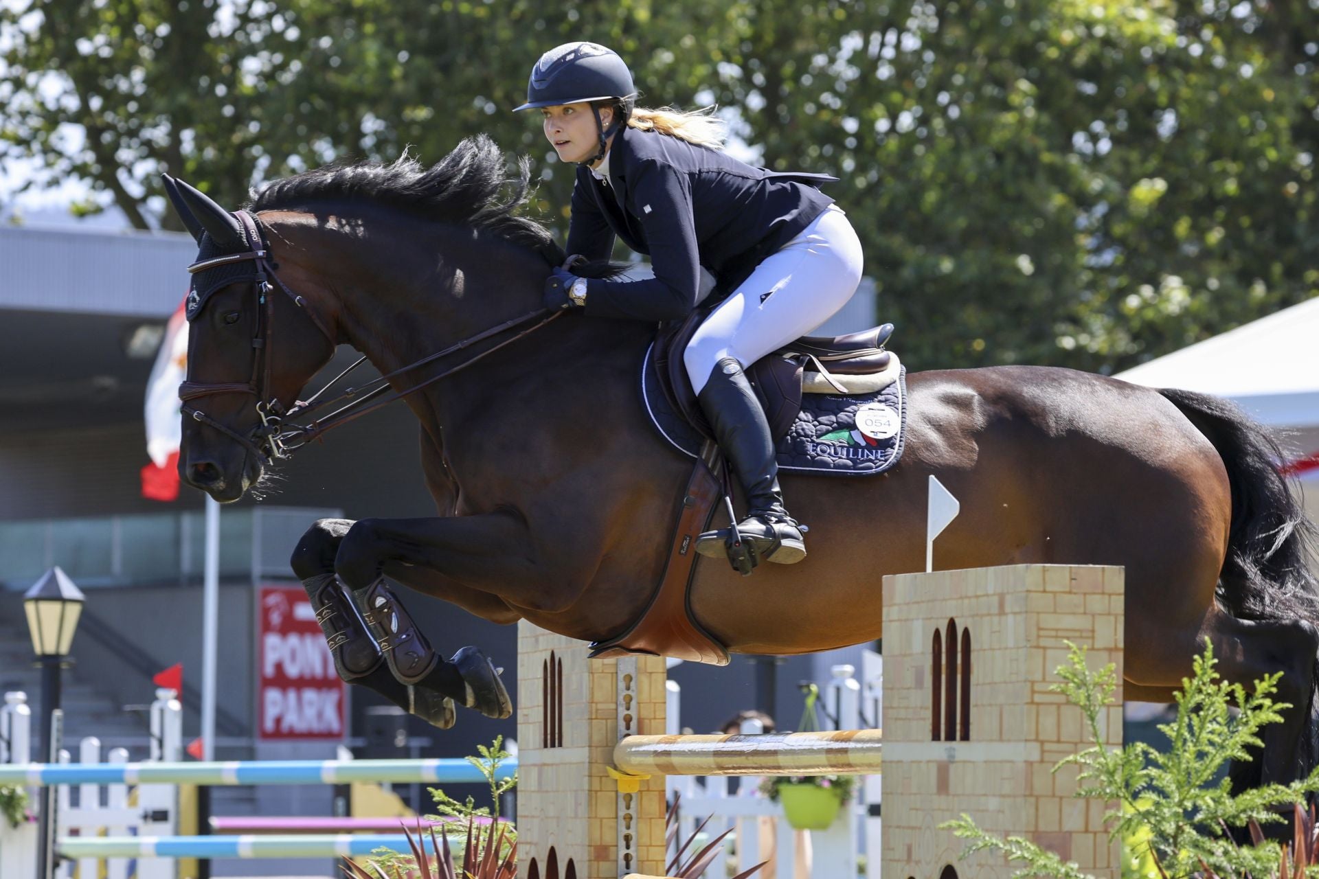 Llenazo en el hípico este domingo